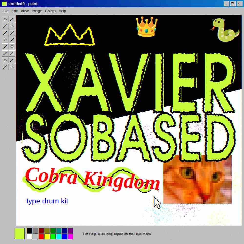 Xaviersobased Type Drum Kit – Cobra Kingdom cover