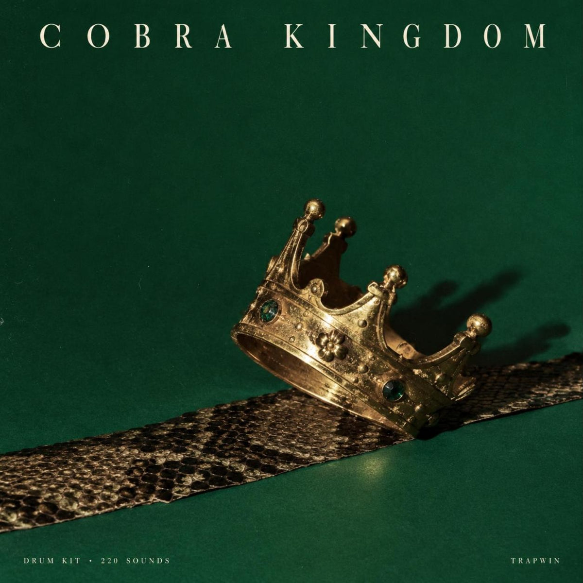 Cobra Kingdom drum kit cover
