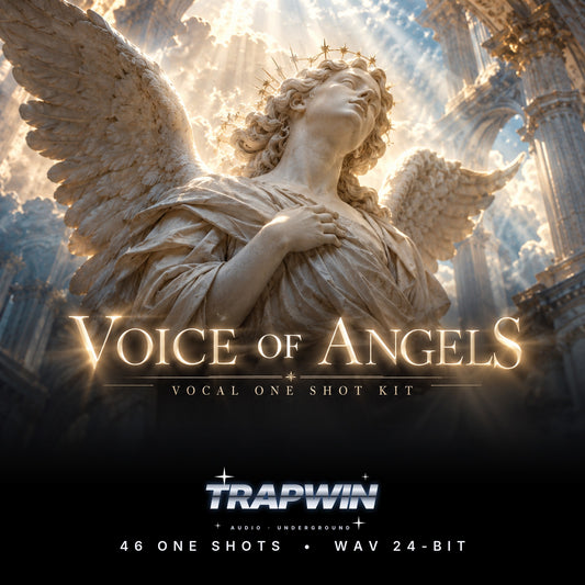 Voice Of Angels One Shot Kit cover